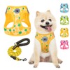 BEAUTYZOO Pineapple Pattern Dog Harness and Leash Set, Reflective, No-Pull,