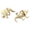 PowerTRC 5PCS 3D Printed Dinosaur Skeletons, T-Rex Triceratops Stegosaurus Velociraptor
