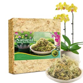 2LB Sphagnum Moss for Plants Indoor, Premium Peat Moss for Reptiles Terrarium-40 Quarter, Natural Long Fiber Orchid Moss for Repotting Propagation Succulent Sarracenia Carnivorous Gardening