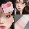 컬러 핑크 피치 블러쉬 파우더 팔레트 블러셔 틴트 루즈 메이크업