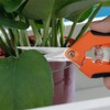 HOMEANING 1PC Pruning Shears,Trimming Scissors, Blades Gardening Hand Pruning Snips