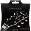 IBANEZ String Set Electric Guitar Artcore Stainless Flat Wound 6-String
