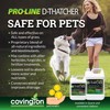 Covington PRO-LINE D-THATCHER Liquid Dethatcher (32oz) – Lawn Thatch Remover