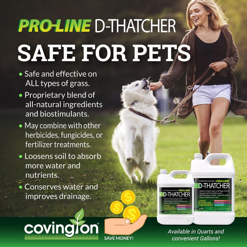 Covington PRO-LINE D-THATCHER Liquid Dethatcher (32oz) – Lawn Thatch Remover