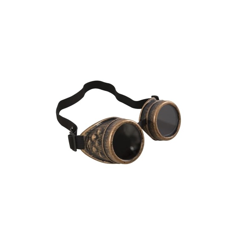 P 'tit clown 69100 Steampunk Glasses, One Size