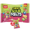 DOUzzle Chewy Sour Melts Candy Fun Size (10 Count, Pack