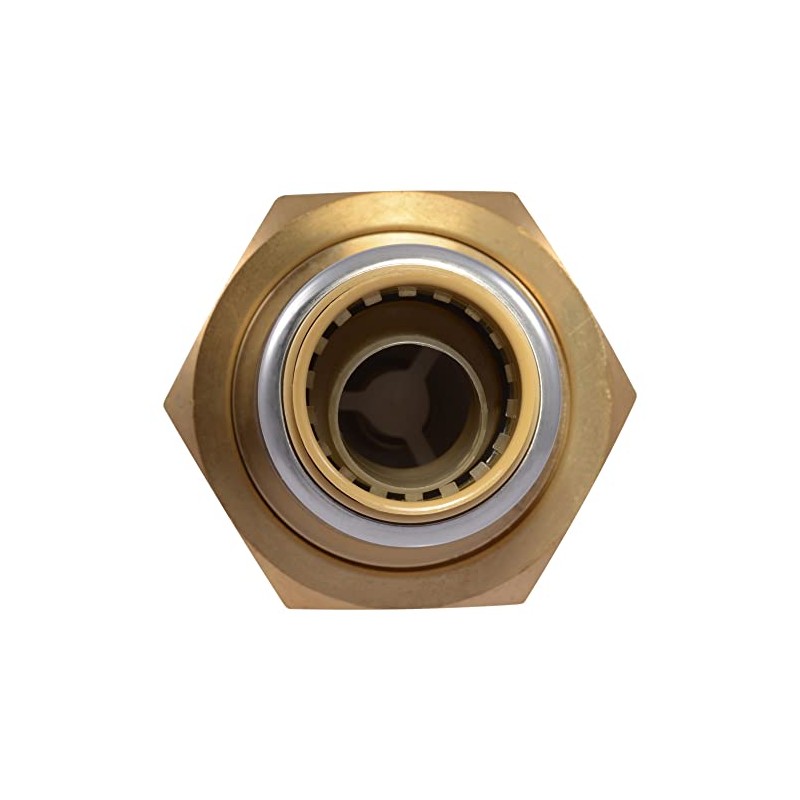 Cash Acme 1 Inch x 3/4 Inch BF5 Dual Check