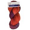 Malabrigo - Rios Knitting Yarn - Aniversario (# 005)