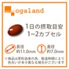 オーガランド (ogaland) プロテオグリカン Sante サンテ (180粒 / 約6ヶ月分) サプリ プロテオグリカン