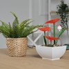 Desktop Fountain Ornament Indoor Small DIY Tabletop Circulating Waterfall Decoration