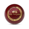 TrySalar® Cricket Practice Ball Red Leather Grade A Senior Training