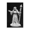 Tuilin Female Elf Dark Heaven Legends Series by Reaper