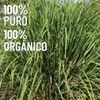 OLEUM VITAE Aceite Esencial de Limoncillo. Hierba Limón. Cymbopogon Flexuosus.