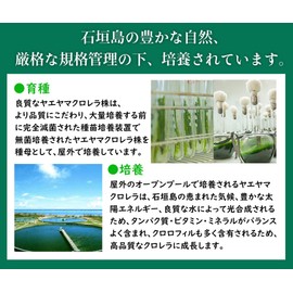 八重山クロレラ粒 ボトル 300粒 1ヶ月分 ヤエヤマクロレラ