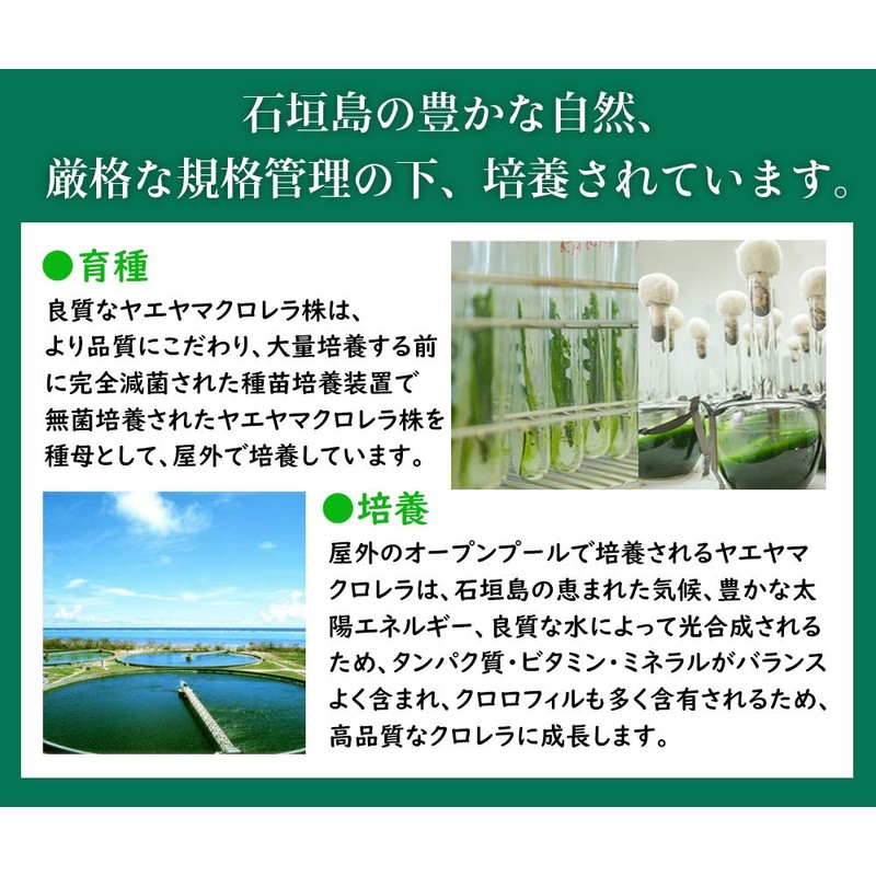 八重山クロレラ粒 ボトル 300粒 1ヶ月分 ヤエヤマクロレラ
