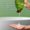 OGX, Shampoo Extra Fuerte de Tea Tree y Menta, 385