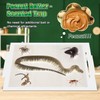Qualirey 4 Pack Snake Glue Trap, 8 x 14 Large