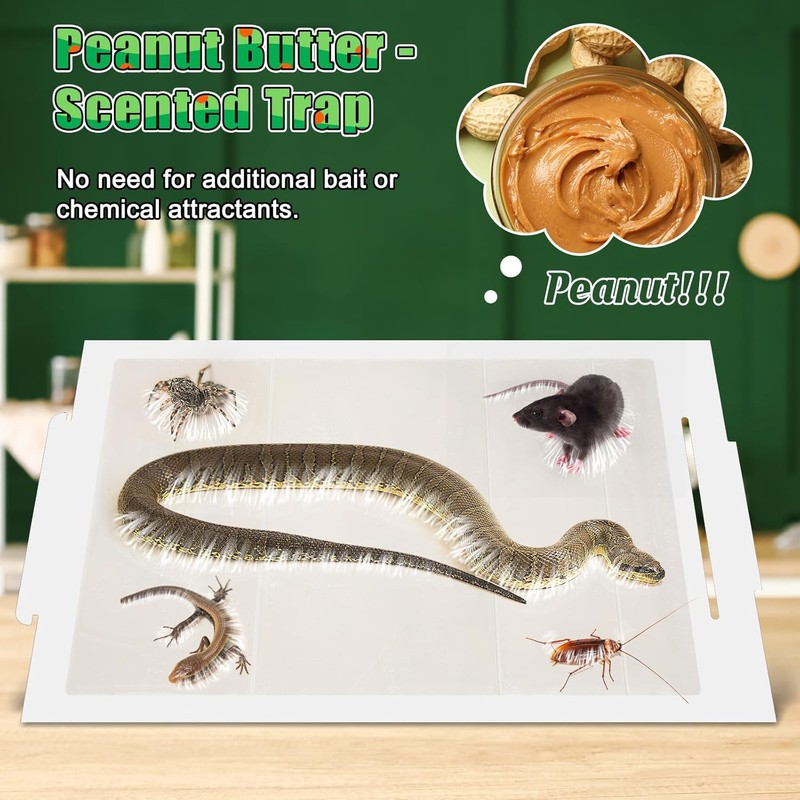 Qualirey 4 Pack Snake Glue Trap, 8 x 14 Large