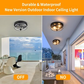 foucasal Black Flush Mount Ceiling Light with Seeded Glass Shade, Farmhouse Outdoor Ceiling Light Fixtures 2-Light Metal Cage Ceiling Lights for Porch