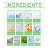 Máscara Facial De Arcilla Hanchobit Mugwort B3
