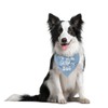 Birthday Boy Dog Bandana, Dog Bandanas Boy, Printed Dog Bandana