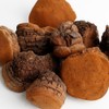 [2 Bottles] Natural Sanghwang Mushroom Powder 80g High Content Beta-Glucan
