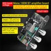 Diymore ZK-1001U Mono Amplifier Board, Bluetooth 5.3 100W TPA3116D2 Audio