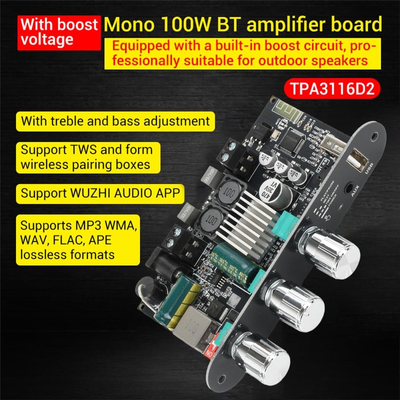 Diymore ZK-1001U Mono Amplifier Board, Bluetooth 5.3 100W TPA3116D2 Audio