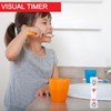 Temple 3PC Tooth Brushing Sand Timer, 3 Minute Dental Timer
