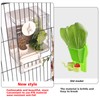 No Mess Bird Feeder Vegetable Dispenser Automatic Parrot Feeders with