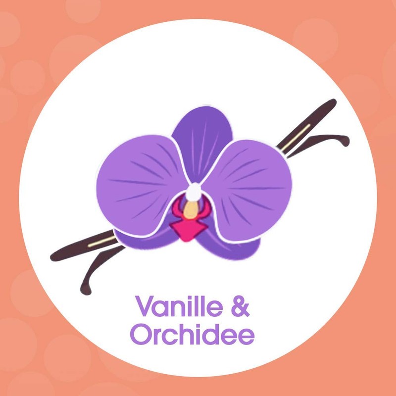 Sagrotan Velvet Foam Vanilla & Orchid