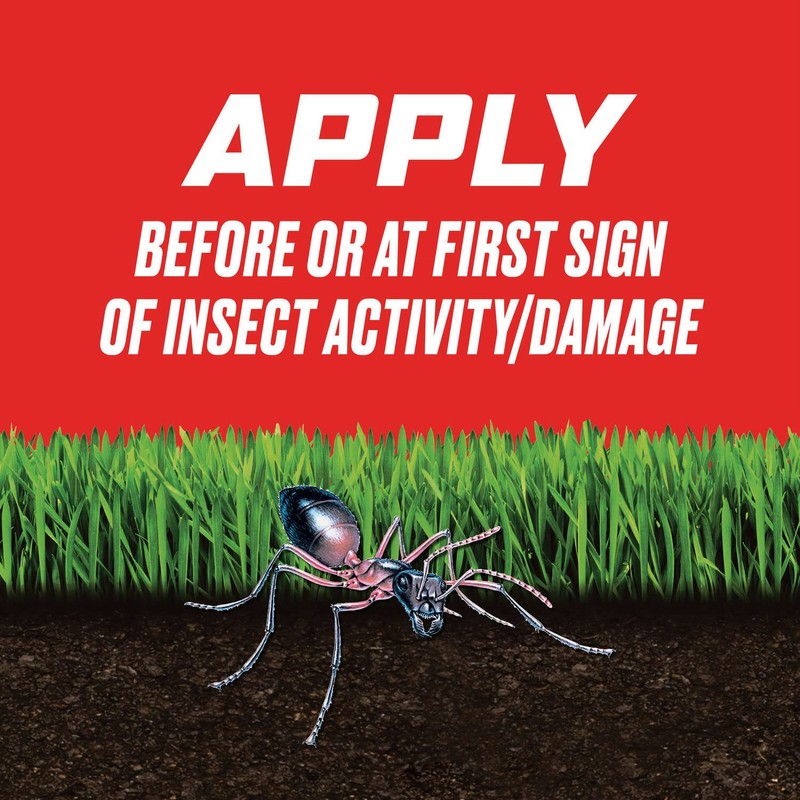 Ortho Outdoor Insect Killer Concentrate Kills Listed Ants, Spiders, Fleas