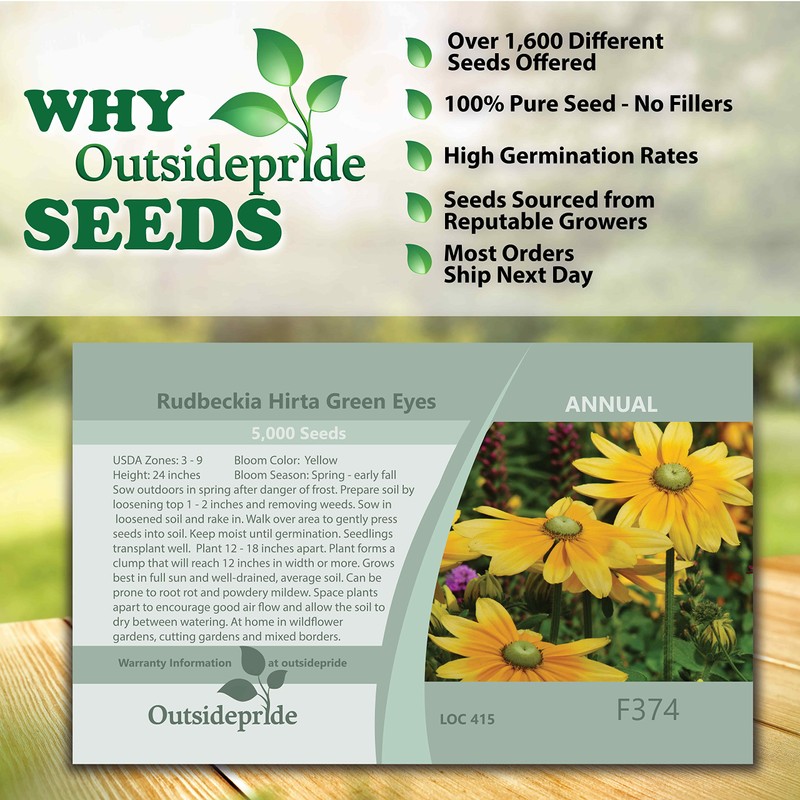 Outsidepride 5000 Seeds Annual Rudbeckia Green Eyes Flower Seeds for