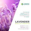 Lindens - Lavenderol (80 mg), 60 capsules