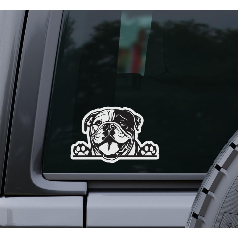 English Bulldog Peeking Vinyl Sticker - for Water Bottle Car
