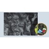 Aitubo-tyu Foot Mat Medium Foot Pressure Point Mat Foot Massage