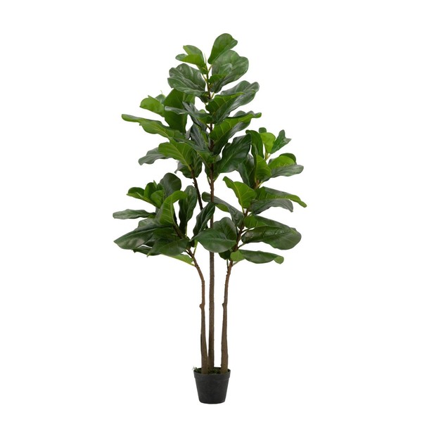 A&B Home 5' Fiddle-Leaf Fig Tree in Pot 2Ea/Ctn