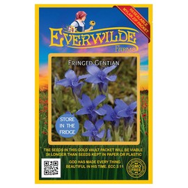 Everwilde Farms - 250 Fringed Gentian Native Wildflower Seeds - Gold Vault Jumbo Seed Packet