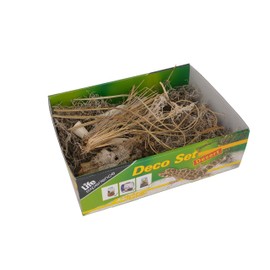 Life Experience Deco Set for small nano terrariums