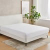 Great Bay Home Tencel™ Lyocell Waterproof Queen Size Mattress Protector