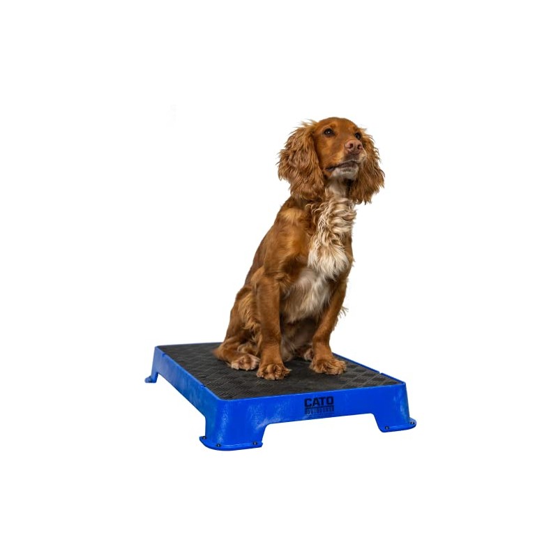 Cato Board - Dog Training Platform (Blue, Rubber Surface)