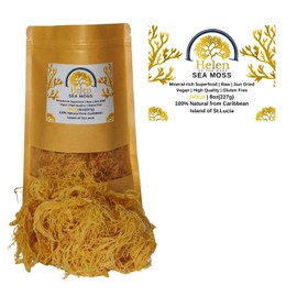 Wildcrafted Sea Moss | Gold - Purple - Green - Mixed | 100% Natural Irish Moss from St.Lucia | Mineral-Rich Superfood | 8oz Sun-Dried Moss | NO Preservatives NO Chemicals (Gold, 4 Ounce (Pack of 1))