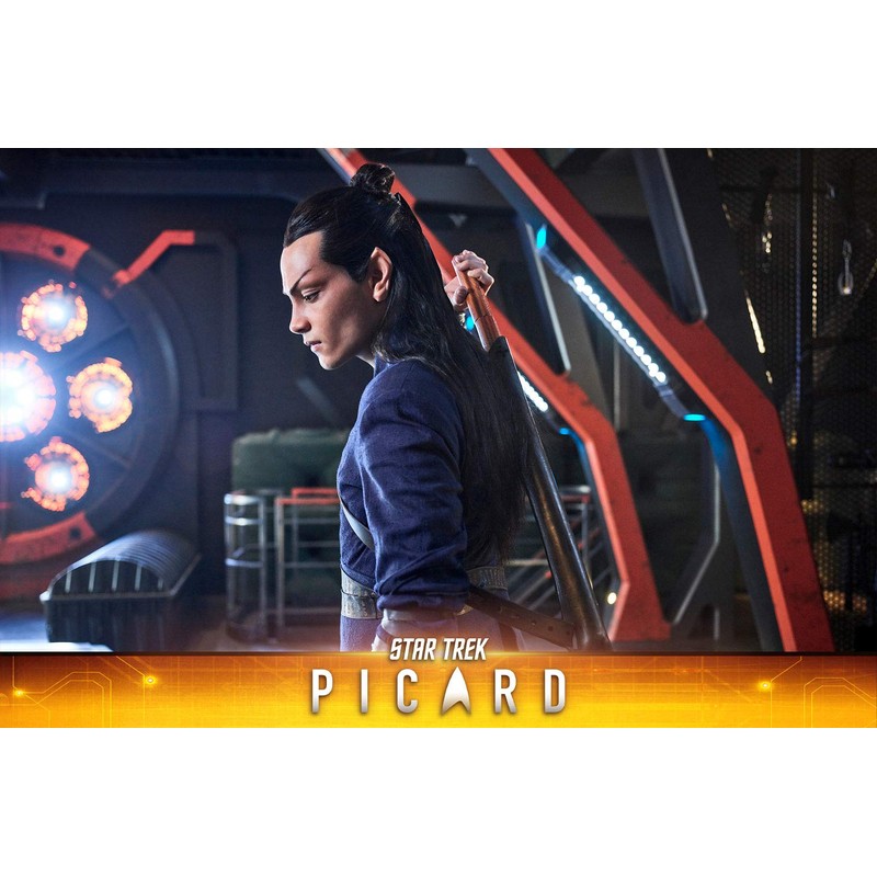 STAR TREK: Picard - Staffel 1