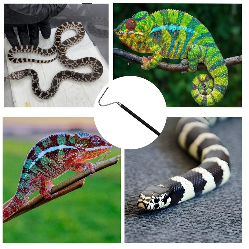 Shengsenfu Adjustable Stainless Steel Snake Hook, Extensible Snake Hook, Retractable