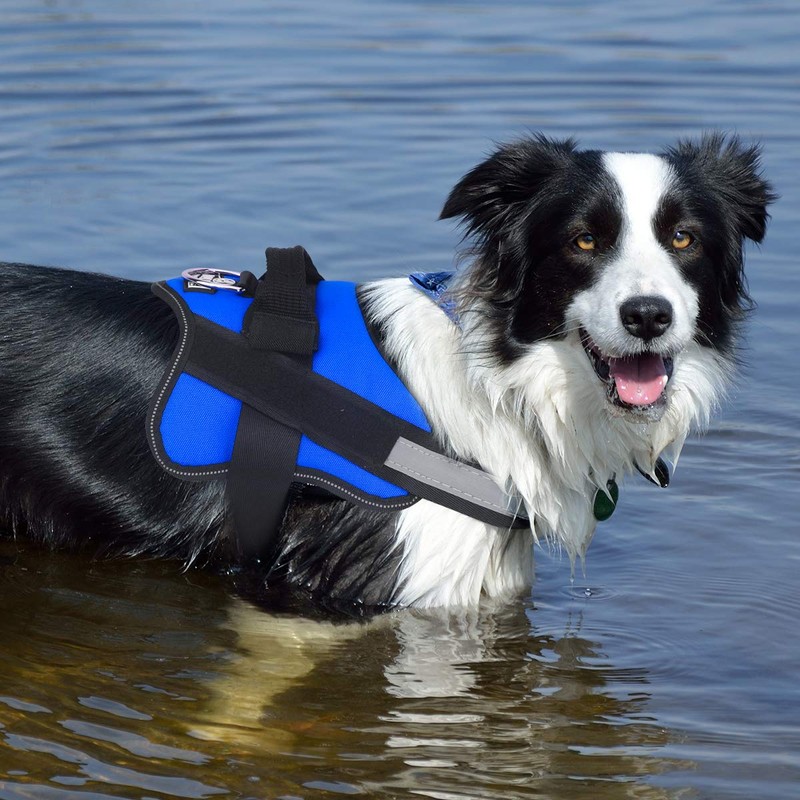 Bolux Dog Harness, No-Pull Reflective Dog Vest, Breathable Adjustable Pet