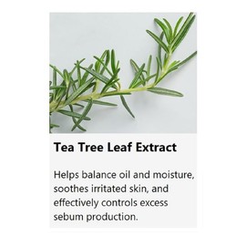 jNE Anskin Original Modeling Mask Powder Pack | Korean Skincare Face Pack for Calming Irritated Skin, Deep Hydration & Pore-Cleansing Care (8.47oz / 240g, Tea Tree)