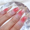 Rose Jungle Wedding Handmade Nail Tips - Stiletto / 장미