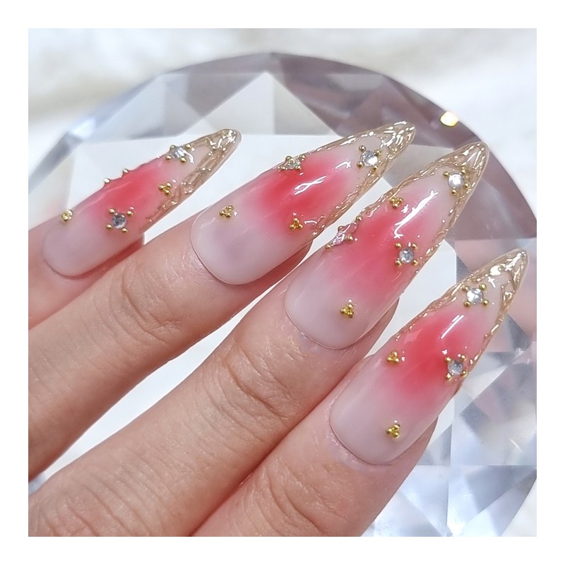Rose Jungle Wedding Handmade Nail Tips - Stiletto / 장미