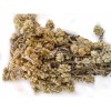 B-EXPERTS GORDOLOBO TE-Mullein Flower Herbs (4 Oz) / Gordolobo flor