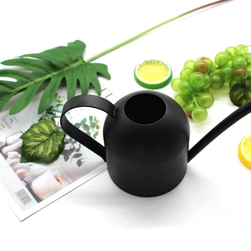 YISSSN Small Watering Can for Indoor Plants, 15oz/450ml Stainless Steel